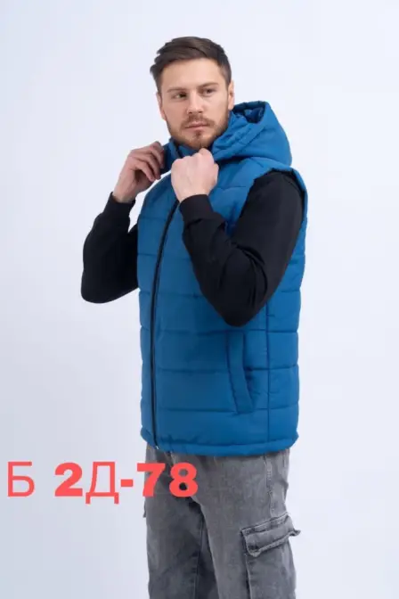 Vest